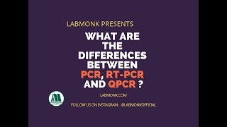 What are the differences between PCR RTPCR and qPCR l Learn with Labmonk l Part  6 [upl. by Terrance]