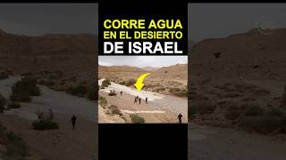 🇮🇱 Agua en el Desierto Un Fenómeno Real y Único en Israel qué Atrae Multitudes [upl. by Cary]