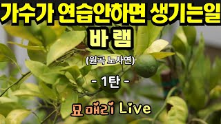 바램원곡 노사연 묘매리 Live  가수가 노래연습 안하면 생기는 일 1탄  인기트로트 성인가요 라이브 [upl. by Brackely]