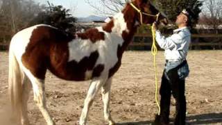 Nathaniel White Feather horsemanship native american style [upl. by Amluz388]