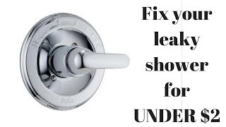 Fix a leaky Delta Singlehandle shower faucet for UNDER 2 [upl. by Cacka]