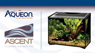 Aqueon  Ascent Frameless Aquarium Kit  Modern Fish Tank [upl. by Bolme720]