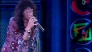 Aerosmith Live In Rio Brazil 1994  What It Takes [upl. by Idyh]