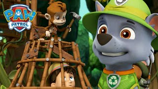 Pups rescue Ryders tools from the mischievous monkeys and more  PAW Patrol Episode Cartoons [upl. by Odnalref]