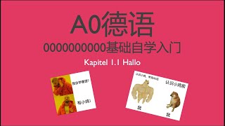 德语A0 德语零基础入门自学 Kapitel 11 Hallo [upl. by Hogg]