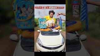 चलती Car मे खरगोश🐰पालना 🤣 rabbit comedy [upl. by Inerney]