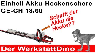 Einhell AkkuHeckenschere GECH 1860 Was kann die [upl. by Elicia547]