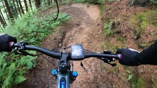 Dalby Forrest MTB Downhills Is it beginer friendly [upl. by Xuerd]