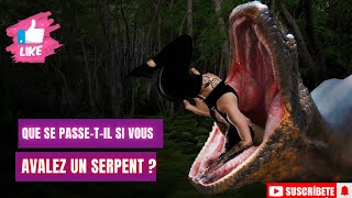 Que se passe t il si vous avalez un serpent  anaconda  serpent venimeux [upl. by Nnylecoj]