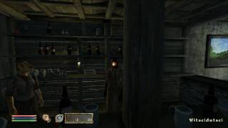 Lets play Oblivion 110 [upl. by O'Donovan]