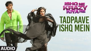 Ishq Acha Lagta Hai Full AUDIO Song  Ishq Ne Krazy Kiya Re  TSeries [upl. by Hubey992]