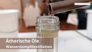 🌿Ätherische Öle  Hydrolate  Ihre Herstellung🌿 [upl. by Serg169]