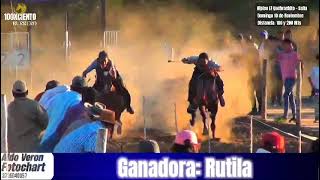 Hípico El Quebrachito Salta Video de Rutila y Calandria [upl. by Peugia]