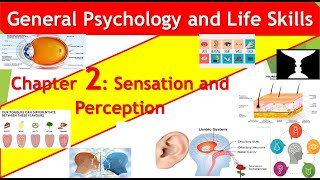 General Psychology Chapter 2 Sensation and Perception [upl. by Aleina]