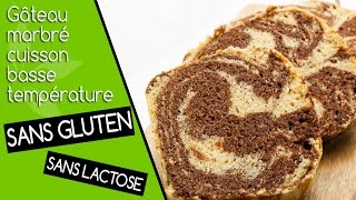 Gâteau marbré sans gluten sans lactose cuisson basse température ♥ [upl. by Anelagna]