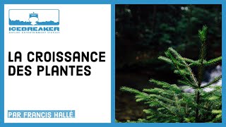 09 Comment les plantes grandissentelles [upl. by Hacceber465]