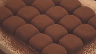 Condensed Milk Chocolate Truffles Easy Recipe  2 Ingredients [upl. by Enitselec]