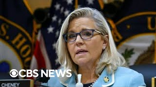 Major Democratic donors back Rep Liz Cheney in reelection bid [upl. by Calvina]