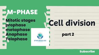 Mphase l stages of mitotic division l neet [upl. by Siekram368]