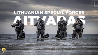 Lithuanian Special Operations Forces LITHSOF AITVARAS [upl. by Enimsaj]