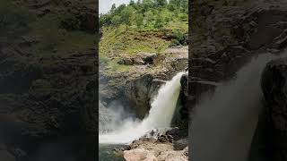 Ganalu falls of karnataka nature waterfalls lifewidlens naturelovers waterfallsvideos [upl. by Meredeth]