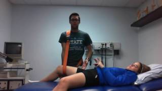 Alternate AnteriorPosterior Hip Maitland Mobilization [upl. by Luapsemaj]