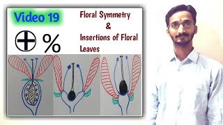 FLORAL SYMMETRY amp INSERTIONS OF FLORAL PARTS  Types of Flower on the basis of Symmetry amp Insertion [upl. by Annehcu]