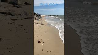 Glenelg Adelaide beach australia walk inspiration relaxing life shorts [upl. by Dleifyar]