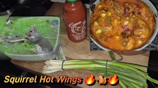 Squirrel Hot Wings [upl. by Jallier]