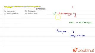 Postganglionic nerve fibres of sysmpathetic system are [upl. by Latsyrd11]