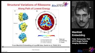 Manifold Embedding  Peter Schwander [upl. by Auohs]