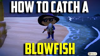 How to Catch a Blowfish  Blowfish ACNH  Blowfish Animal Crossing New Horizons  ACNH Blowfish [upl. by Gudren625]