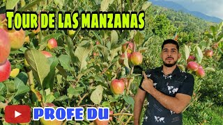 Pérez Zeledón Tour de manzanas [upl. by Noyad994]