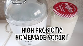 How To Make High Probiotic Homemade Yogurt  Salton Yogurt Maker [upl. by Knowle]