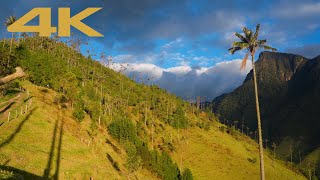 Cocora Valley Colombia Dusk 4K HDR 🇨🇴 [upl. by Yevreh]