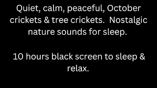 Quiet calm peaceful October crickets amp tree crickets black screen sleep relax 10 hour cricket sound [upl. by Arlen]