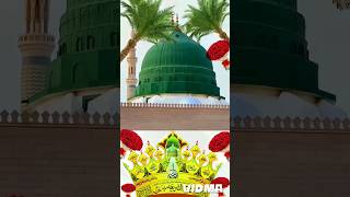 Sayyed Abdul wasi New naat status sayyedabdulwasiqadri youtubeshorts trending shorts 2024 song [upl. by Arnoldo]