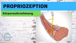 Propriozeption  Die Wahrnehmung und Koordination des Körpers [upl. by Nivlek]