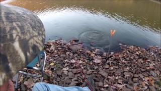 Bait Fishing Fall Bullhead and Perch [upl. by Hgielram]