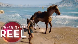 Highlight Reel 430  Assassins Creed Horse Is Worthy Of Poseidon [upl. by Urina766]