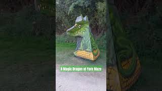 The Magic Dragon Optical Illusion at York Maze [upl. by Canty]