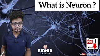 What are Neurons  by Nikhil Sir  BioNik Academy [upl. by Chelsae518]