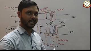 Targeting of Proteins to the Mitochondrial Membrane and Inter Membrane Space By Dr Aditya Sharma [upl. by Luther]