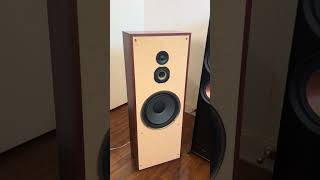 Review on the 1986 floorstanding speakers and what I did to them to make them way BETTER 🤙🏻🇺🇸🇺🇸 [upl. by Anirret]