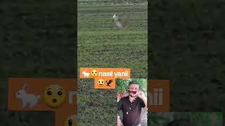 Tavşanın bir zıplayışta Kartaldan kurtuluşu🐇🦅shortvideo [upl. by Yojal]