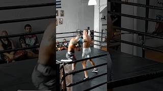 Boxing Sparring Alex Pereira [upl. by Elephus42]