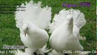 Dejavu🕊 FM • Canlı İstek Yayını  Online Radyo Dinle [upl. by Enahpad85]