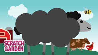 Baa Baa Black Sheep  Nursery Rhyme Song  Scratch Garden [upl. by Solracnauj38]