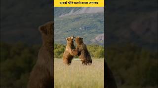 दुनिया का सबसे धीरे चलने वाला जानवर trending facts factschannel letsfact animals bear gk [upl. by Lalo]