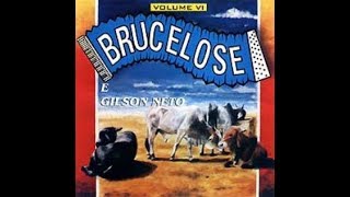 BRUCELOSE  Saudade de você com letra [upl. by Garcon]